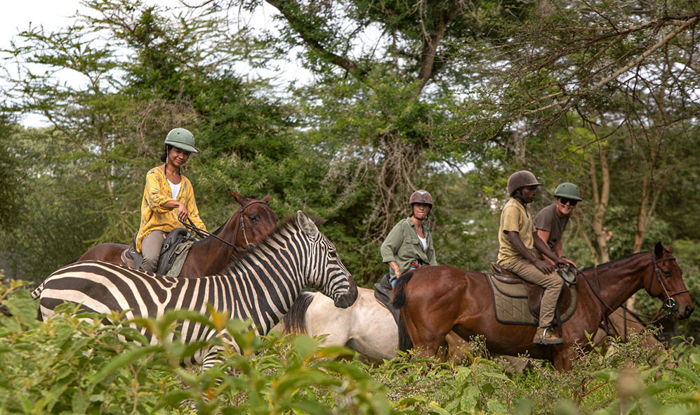 An Unforgettable Ride Through Nature