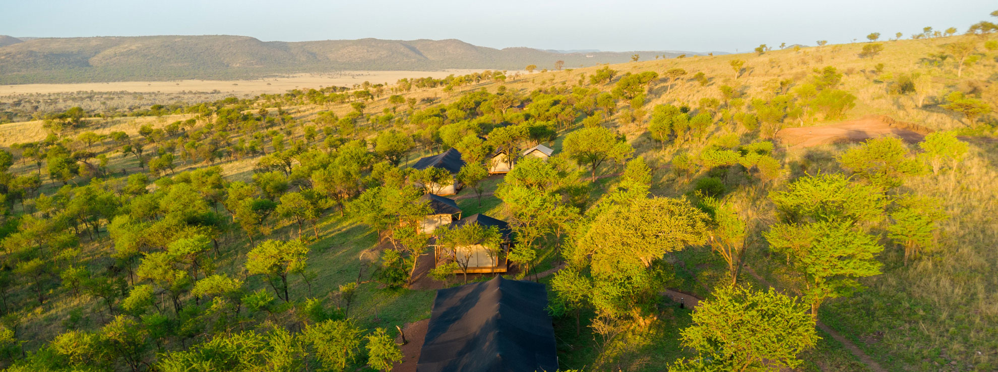 Hot air balloon over the Serengeti